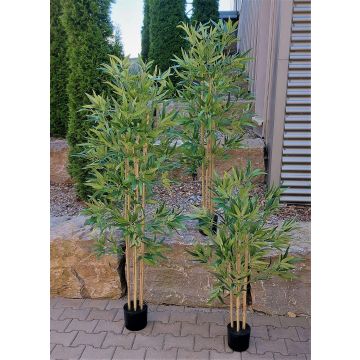 Bambù artificiale SEUMAS, canne di bambù vero, 120 cm