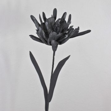 Fiore decorativo in schiuma plastica Cactus Regina della notte MOADI con glitter, nero, 90 cm