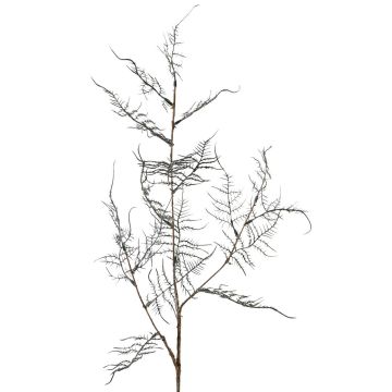Ramo artificiale di Asparagus acutifolius NYALA, verde scuro, 85 cm