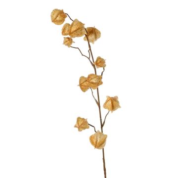 Ramo artificiale di Physalis AINOS, frutti, glitter, beige, 80 cm