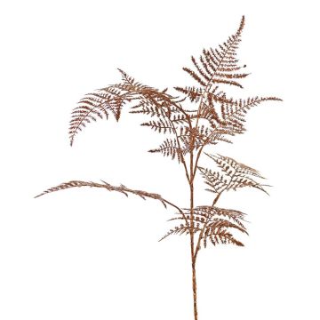Ramo decorativo Asparagus plumosus GIONA, rame, 85 cm