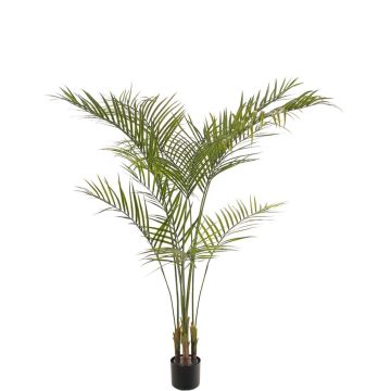 Palma Areca artificiale AFENTIS, crossdoor, 165 cm