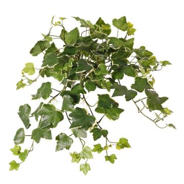 Edera artificiale appesa ARJANA, bastoncino, crossdoor, verde-bianco, 50 cm