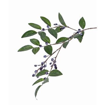 Ramo decorativo di mirtillo PETRINA con bacche, blu, 80 cm