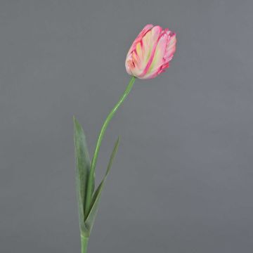Fiore artificiale tulipano papagallo UAKARI, rosa-crema-verde, 65 cm, Ø 6 cm