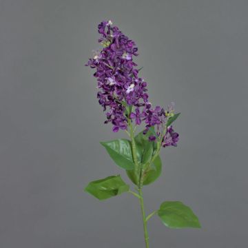 Ramo decorativo lillà ADMIR, viola scuro, 80 cm