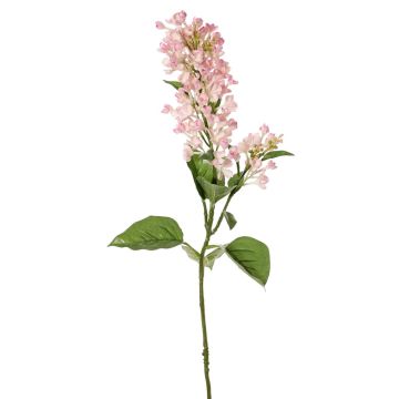 Ramo decorativo lillà ADMIR, rosa crema, 80 cm