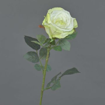 Rosa finta HUSA, bianco-verde, 75 cm, Ø10 cm