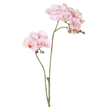 Ramo artificiale orchidea Phalaenopsis VILLANI, rosa-bianco, 65 cm