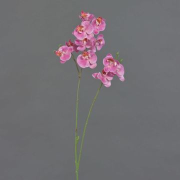 Ramo artificiale di orchidea Phalaenopsis VILLANI, rosa-rosa, 65 cm