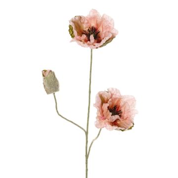 Ramo decorativo di papavero MODLING, rosa, 75 cm, Ø 12 cm