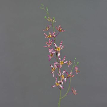 Ramo di orchidea Cattleya artificiale TRASSA, rosa-bianco-giallo, 80 cm
