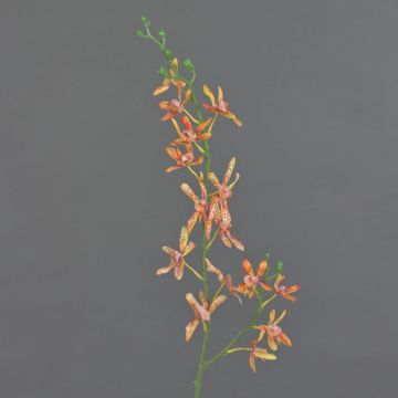 Ramo di orchidea Cattleya artificiale TRASSA, arancione-giallo, 80 cm