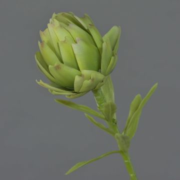 Fiore di carciofo in tessuto JENBALA, verde, 35 cm, Ø 6 cm