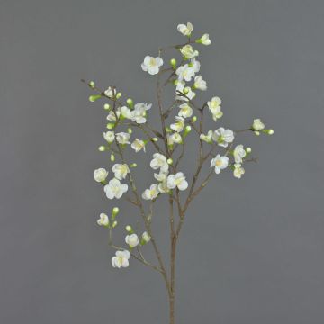 Ramo di fiori di melo artificiale SADAKA con fiori, crema, 100 cm