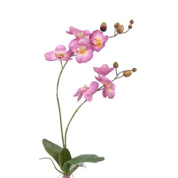 Orchidea artificiale NAARA su gambo, rosa, 75cm, Ø6-8cm