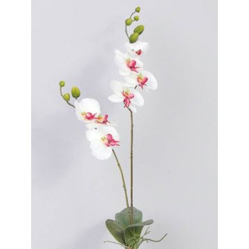 Orchidea artificiale NAARA su gambo, bianco-fucsia, 75cm, Ø6-8cm