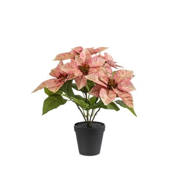 Stella di Natale artificiale GRULEN in vaso decorativo, color pesca, 40 cm