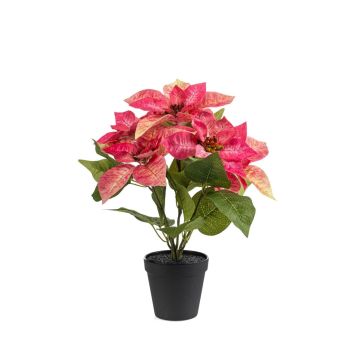 Stella di Natale artificiale GRULEN in vaso decorativo, rosa, 40 cm