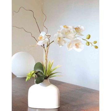 Orchidea Phalaenopsis artificiale TIALDA, succulente, vaso di ceramica, bianco, 50cm