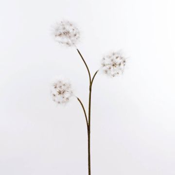 Soffione tarassaco sintetico THERESIA, bianco, 115cm, Ø12cm