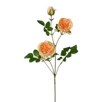 Ramo di fiori artificiali peonia KROVEL, albicocca, 75 cm
