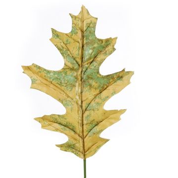 Foglia di quercia decorativa ERVINA, giallo-verde, 20 cm