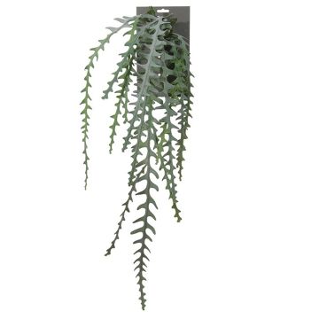 Cactus artificiale a foglia OHNA, verde, 90cm
