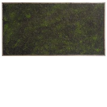 Siepe decorativa / Stuoia di muschio in cornice HONAM, marrone-verde, 100x50cm