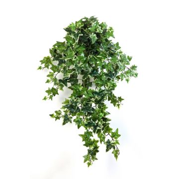 Viticcio di edera artificiale LUKA su stelo, verde-bianco, 70cm