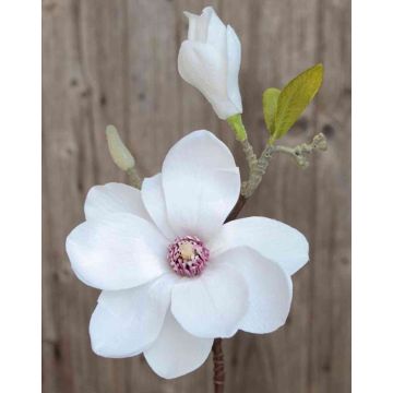 Magnolia finta FEMI, bianca, 35cm, Ø12cm