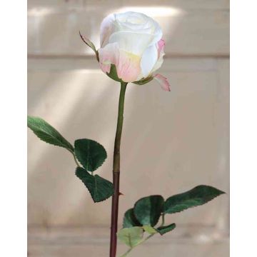 Rosa artificiale SAPINA, crema-albicocca, 60cm, Ø6cm