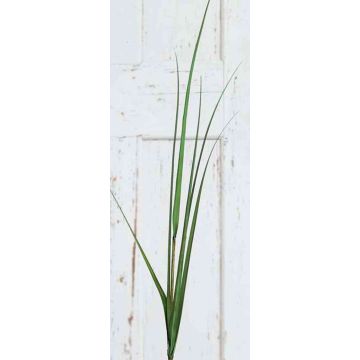 Ramo di erba della pampa artificiale ILYAS, verde, 120cm