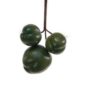 Cocco decorativo TIHANA, 3 pezzi, verde, 12cm