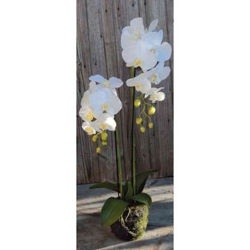 Orchidea Phalaenopsis artificiale VEENA con terriccio, bianco, 80cm