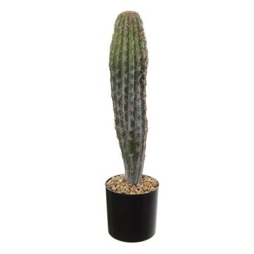 Cactus artificiale San Pedro DENIZ, verde, 40cm