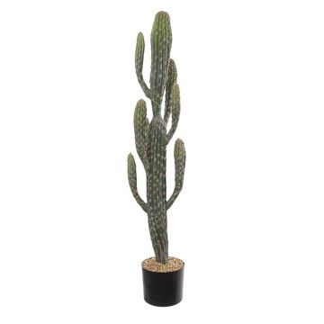 Cactus artificiale San Pedro DENIZ, verde, 100cm