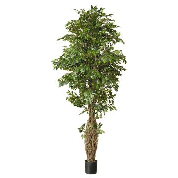 Ficus benjamina artificiale ALMINKO, tronco naturale, verde, 330cm