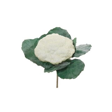 Cavolfiore artificiale GUSTL, bianco-verde, 15cm, Ø15cm