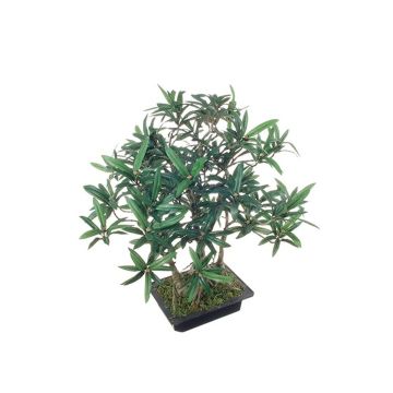 Bonsai podocarpus artificiale ALIKANA con radici, ciotola decorativa, 45cm