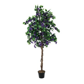 Buganville di plastica BANU, tronchi veri, fiori, viola, 150cm