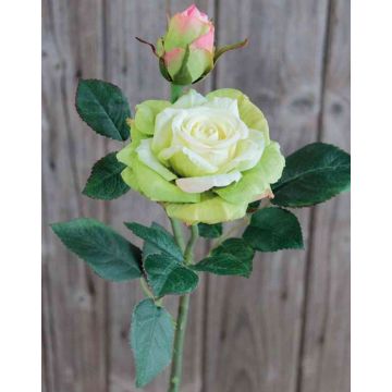 Rosa artificiale SINJE, crema-verde, 35cm, Ø9cm