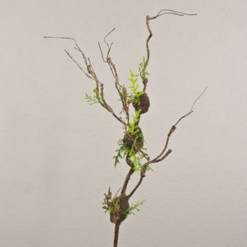 Ramo di salice artificiale RODRIK, muschio, felce, marrone-verde, 80cm