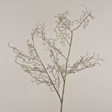 Ramo di nocciolo artificiale YAURELIS, ghiacciato, marrone-bianco, 110 cm