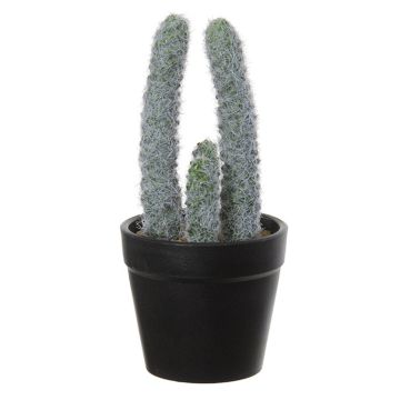 Cactus colonnare artificiale TIRRA, fioriera, bianco-verde, 16 cm