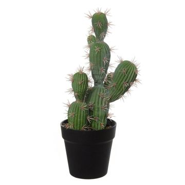 Cactus decorativo San Pedro TORINU, fioriera, verde, 40cm