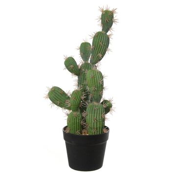 Cactus decorativo San Pedro TORINU, fioriera, verde, 50cm