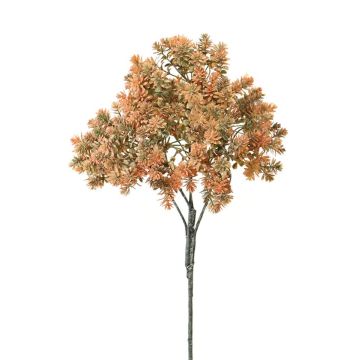 Sedum rubrotinctum decorativo NIRMALA, gambo, arancio-verde, 40cm