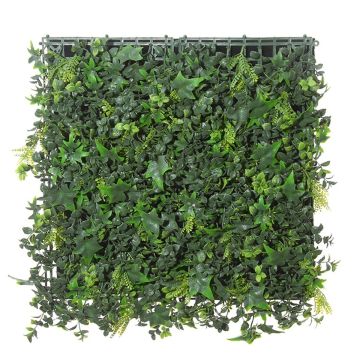 Siepe decorativa / Stuoia di edera, felce, photinia DENZEL, verde, 50x50cm
