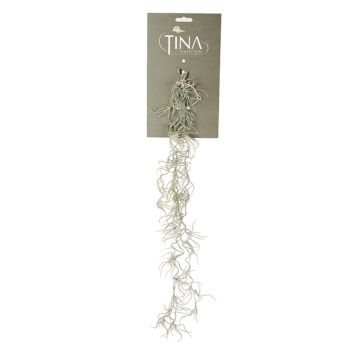 Tillandsia Usneoides artificiale DAMASO, gambo, grigio-verde, 80cm